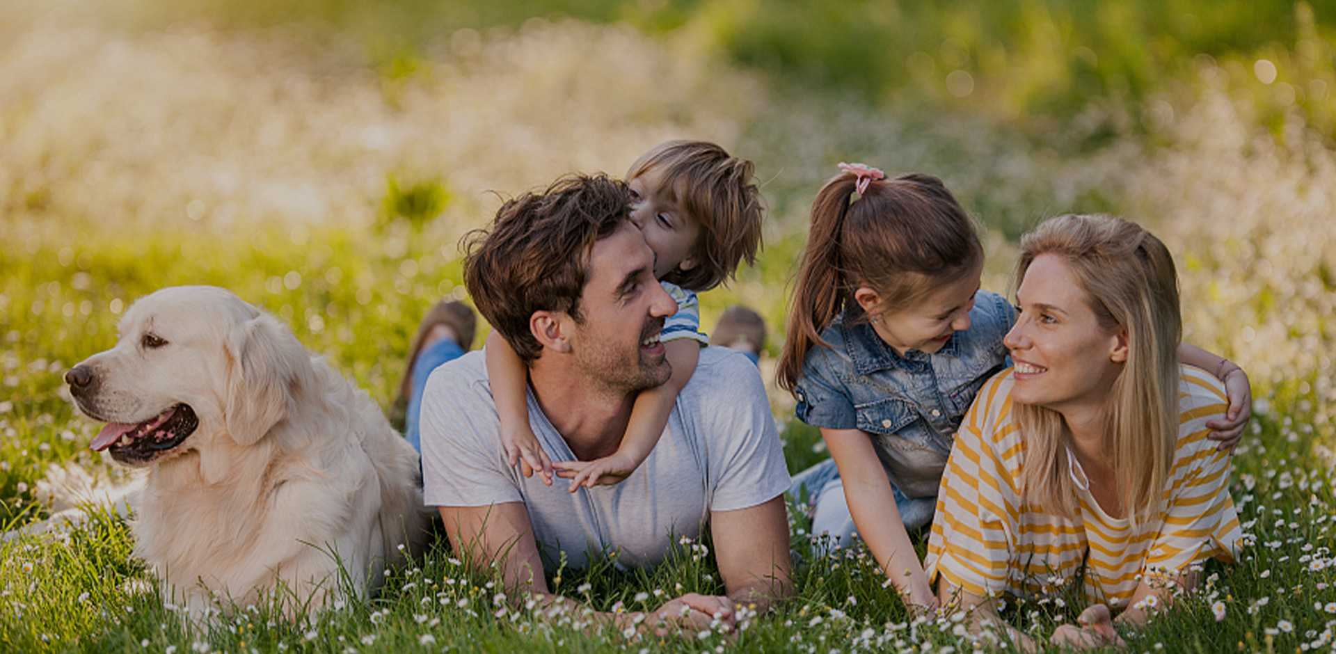 Свяжитесь Нас