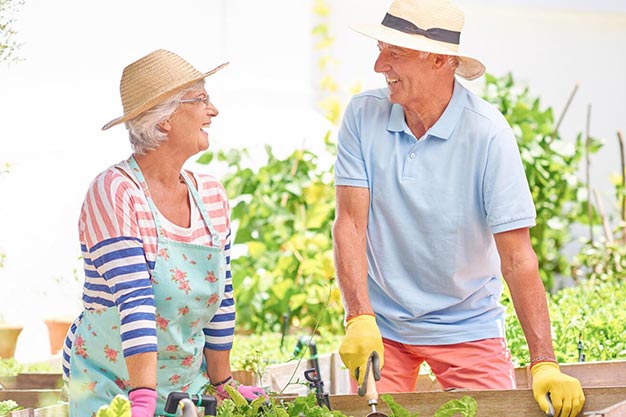 Почему коллаген типа II является основным хранителем здоровья суставов