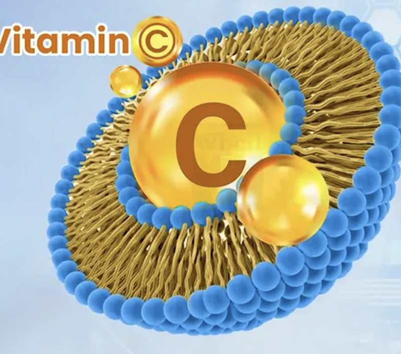 Структура инкапсуляции