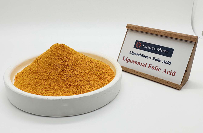 Липосомальная фолиевая кислота