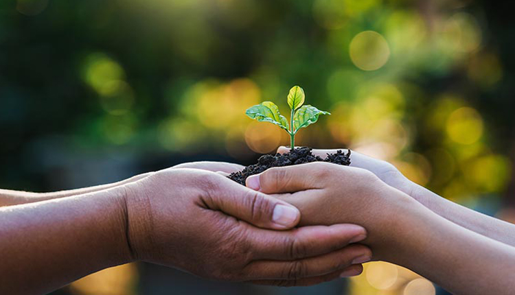 О радостной питательной социальной ответственности