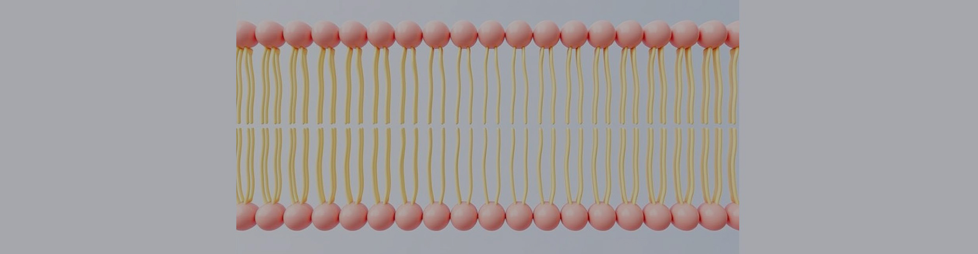 Липосомная настройка