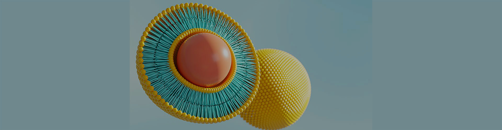 Липосомальные часто задаваемые вопросы