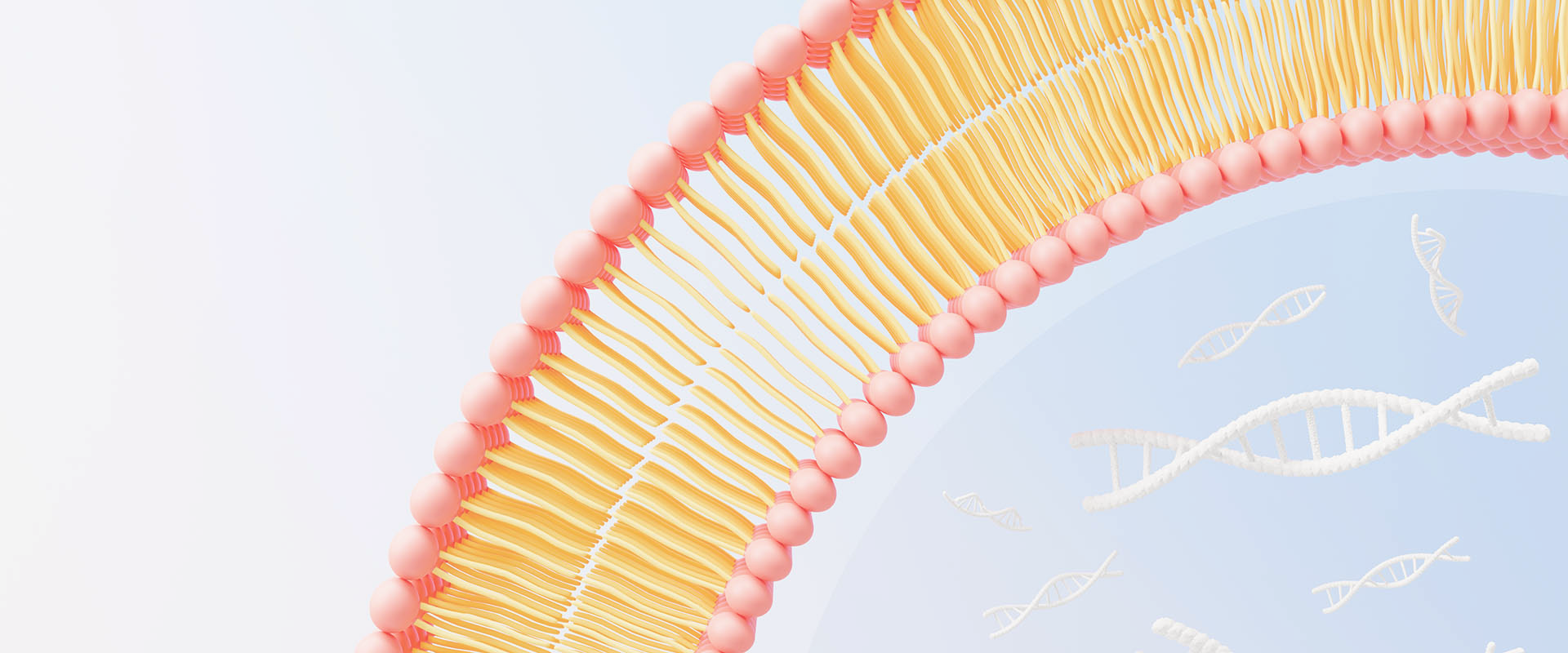 Что такое липосомальные витамины