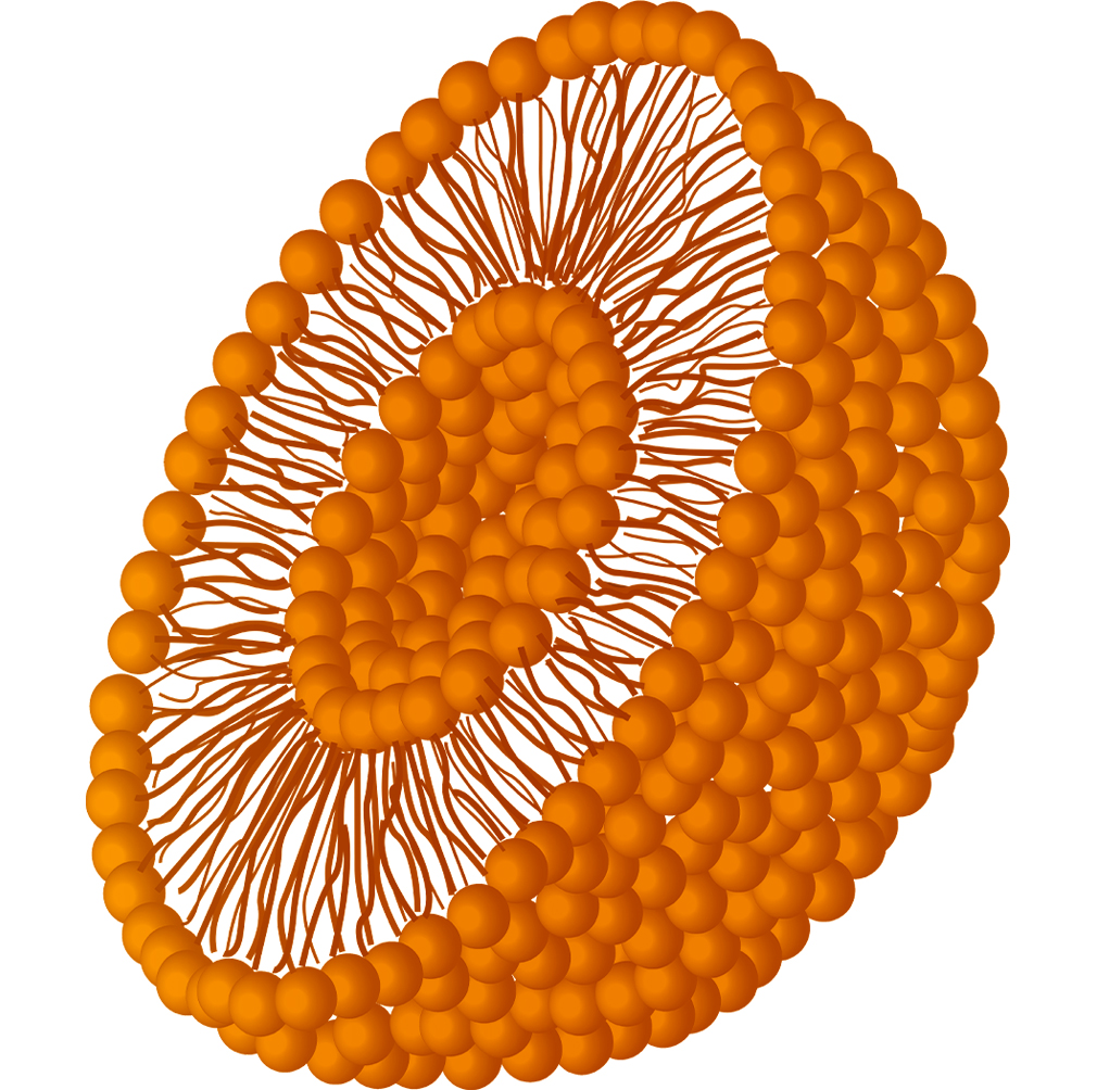 liposomal vitamin b2