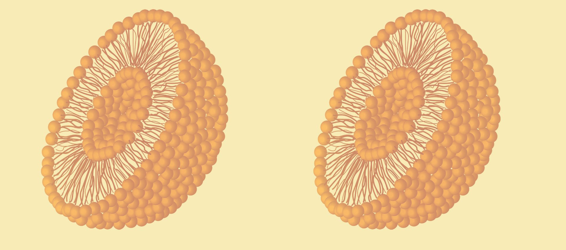 Липосомальный витамин B2