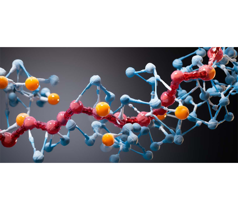 Усиливает клеточный метаболизм