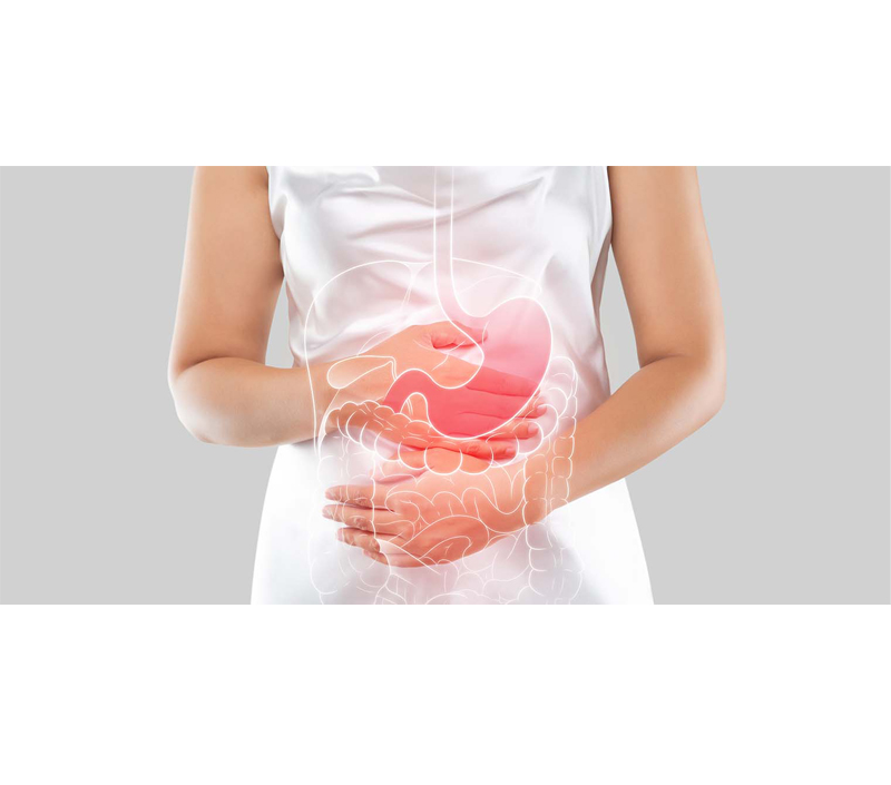 Нежный на пищеварительной системе