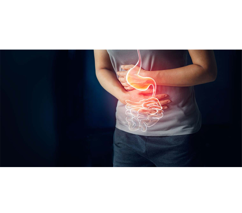 Нежный на пищеварительной системе