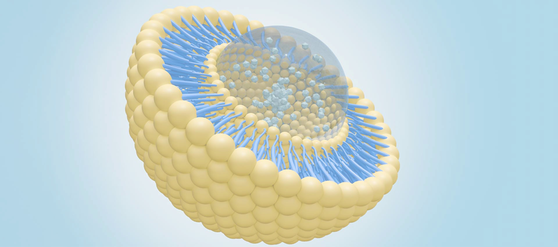 Липосомальная альфа-липоевая кислота