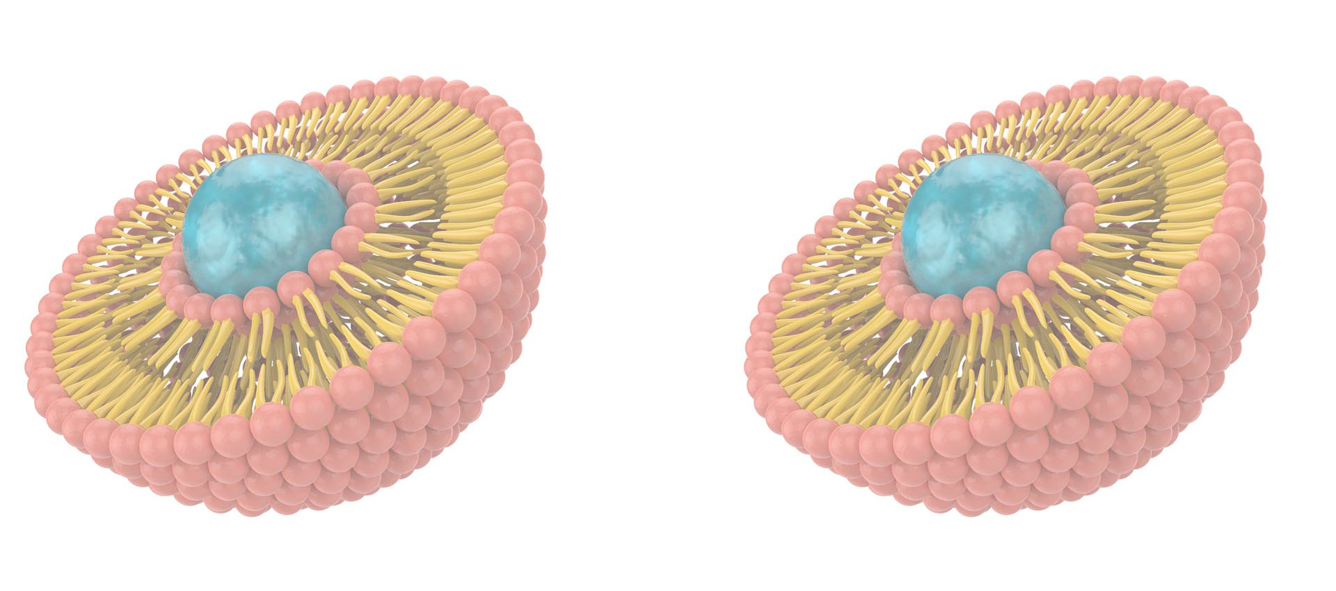 Липосомальный комплекс витаминов B