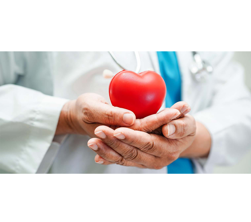 Поддерживает сердечно сосудистое здоровье