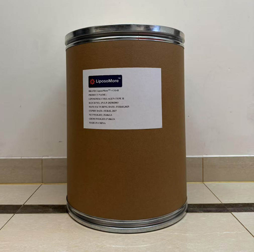 Liposomal collagen ii