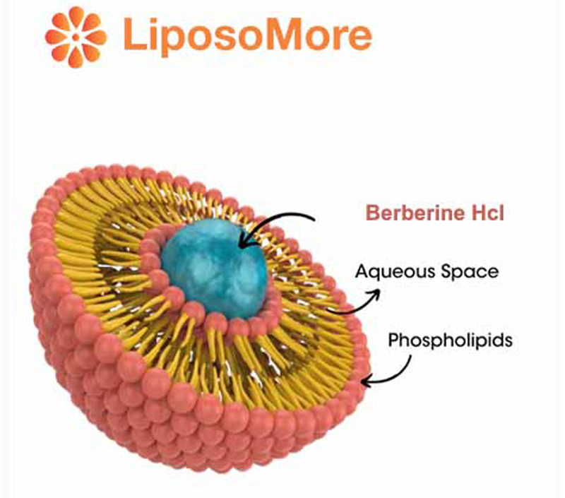 Поддерживает холестерин и сердечно-сосудистое здоровье