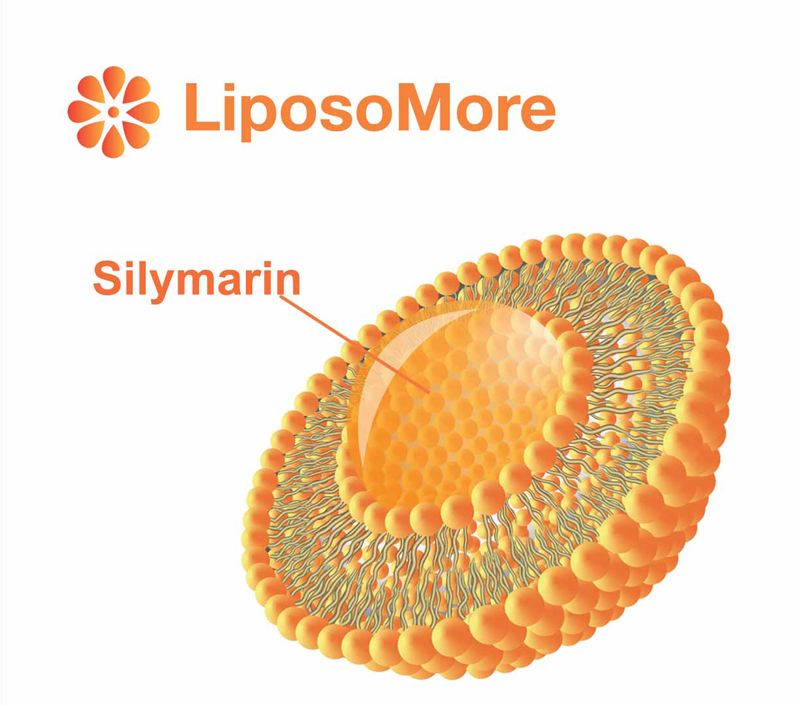 Повышенная биодоступность и клеточная абсорбция