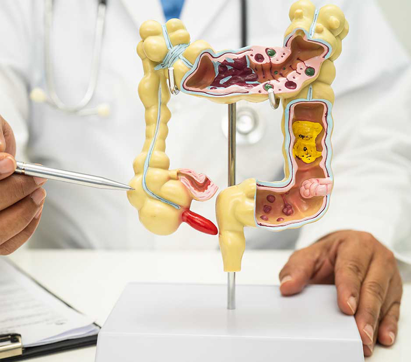 Идеально подходит для метаболического и пищеварительного здоровья