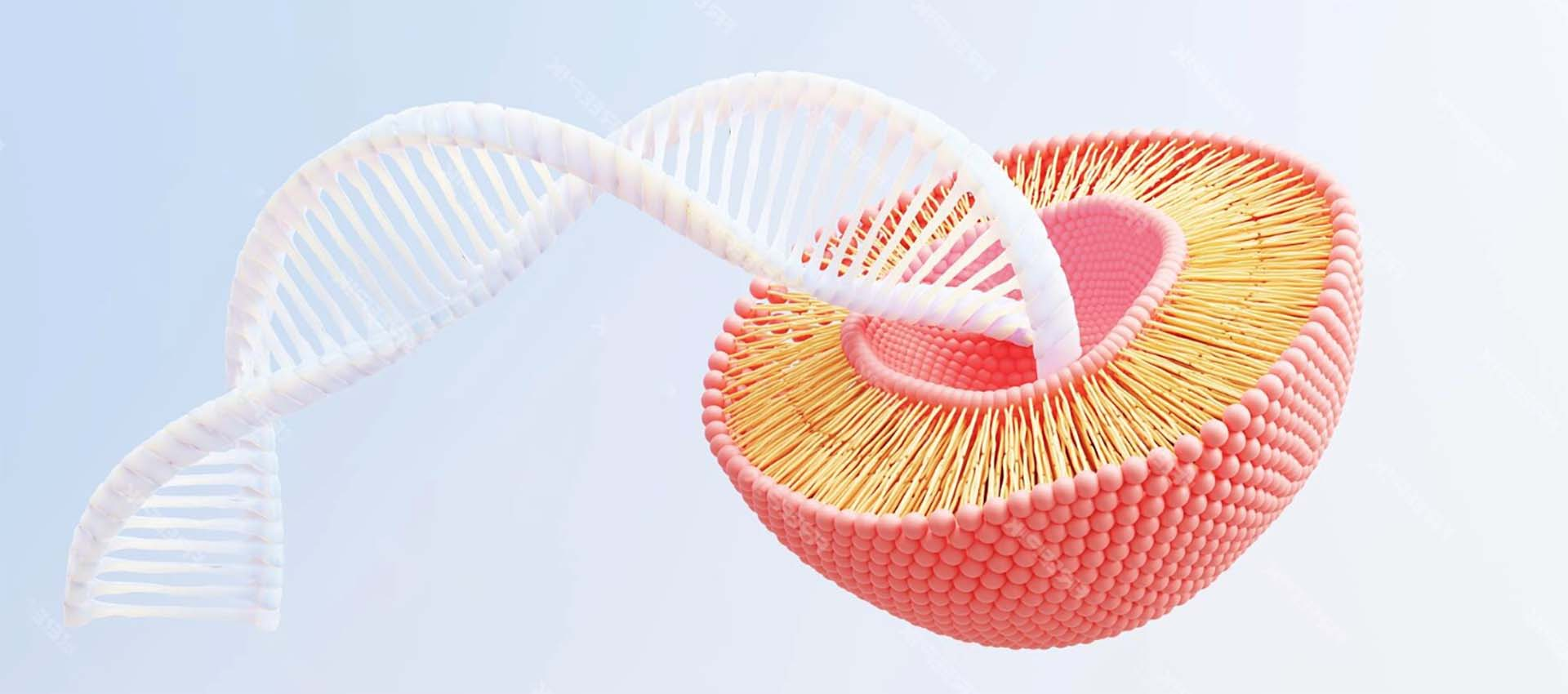 Липосомальный пирофосфат железа