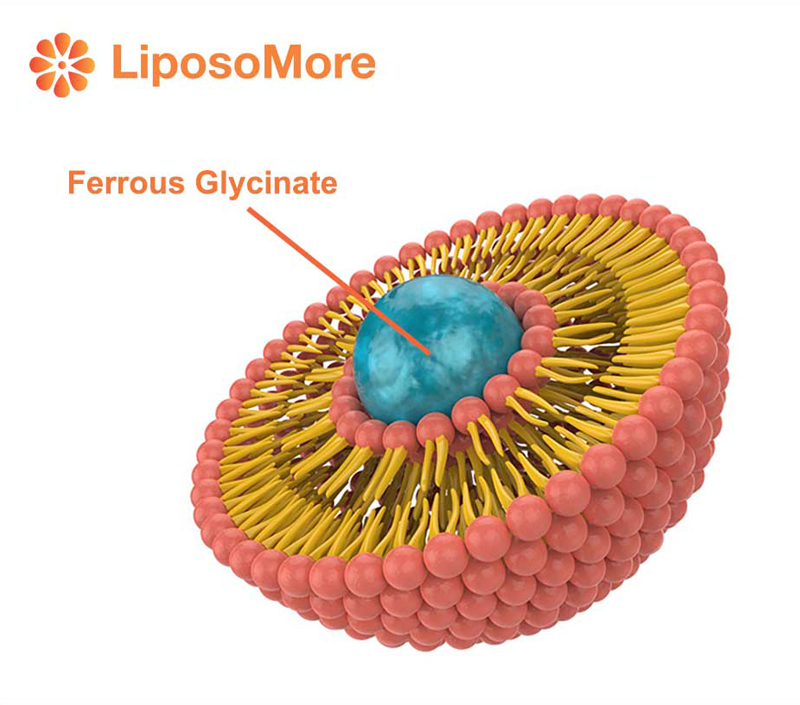 Значительно улучшенная биодоступность для эффективной добавки