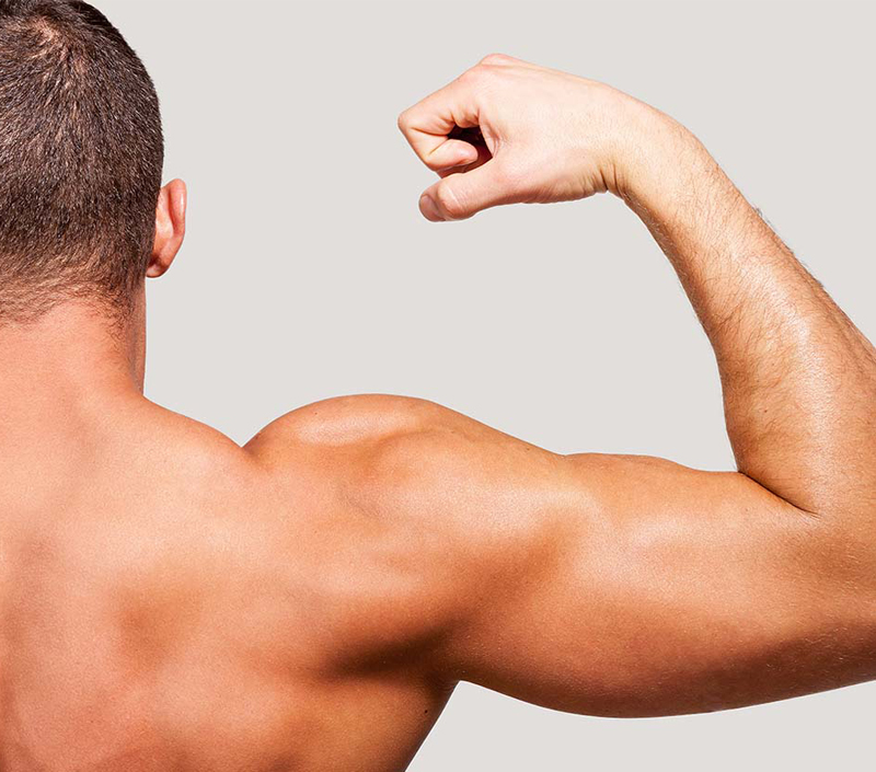 Поддерживает функцию мышц и физическое восстановление