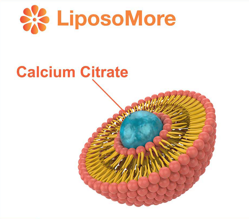 Превосходная биодоступность посредством липосомальной доставки