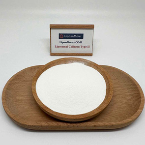 Липосомальный коллаген типа II