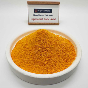 Липосомальная фолиевая кислота