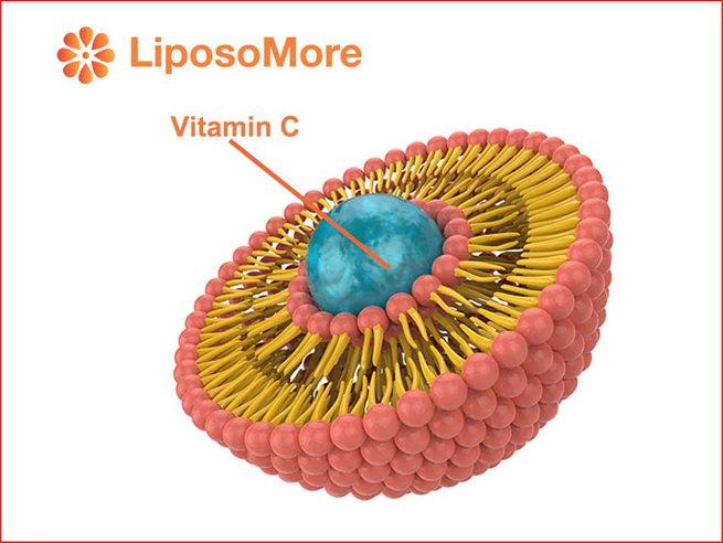 liposomal vitamin c emerges as best selling ingredient among 30 liposomal raw materials under liposomore 3