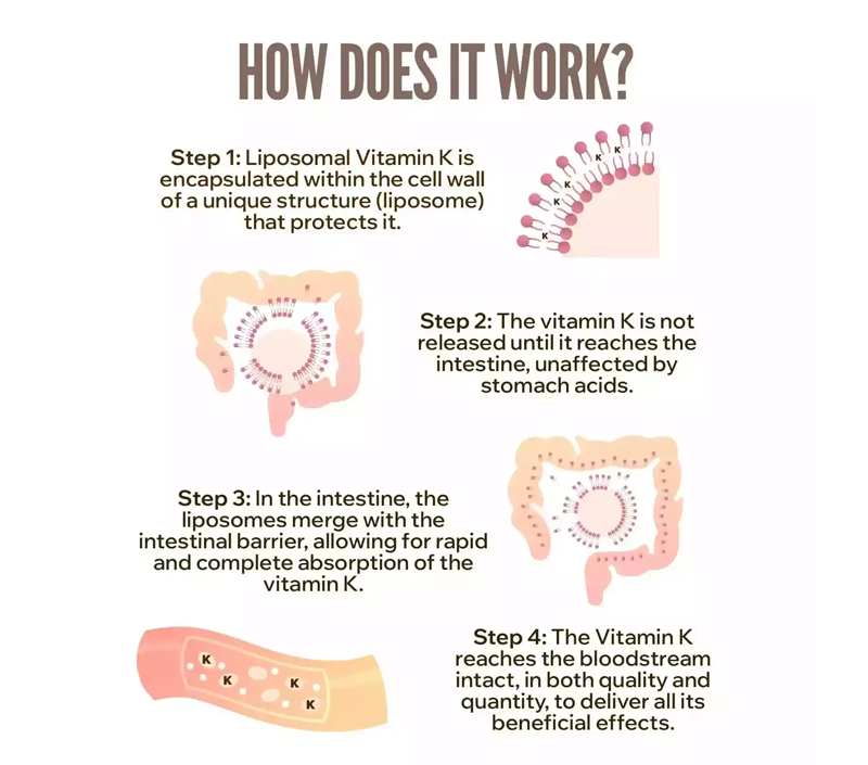 Превосходная биодоступность для лучшей абсорбции