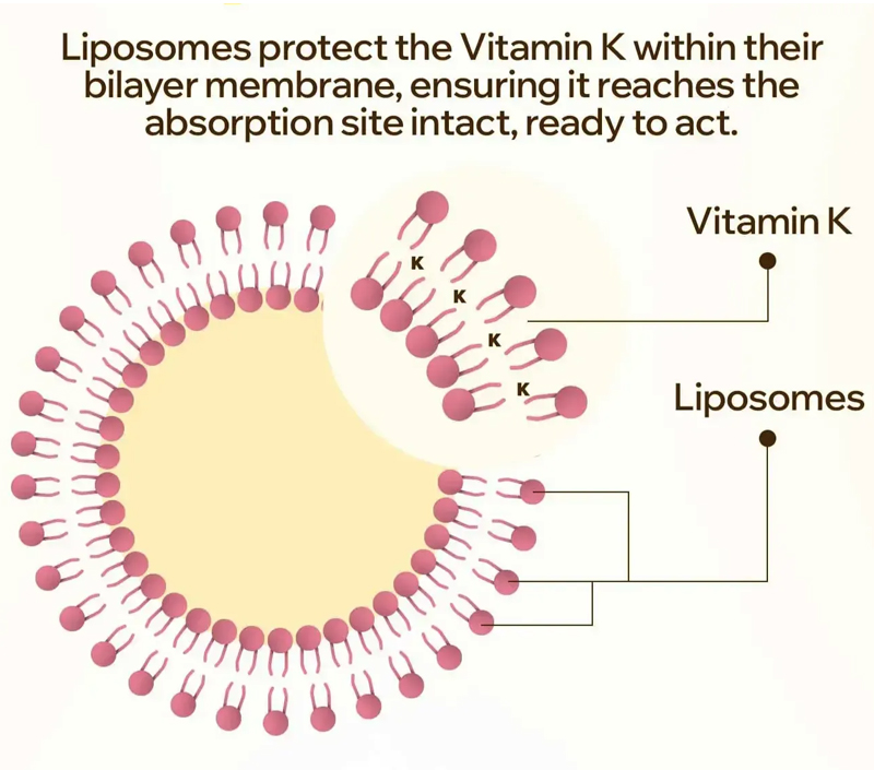 Нежная и целевая доставка