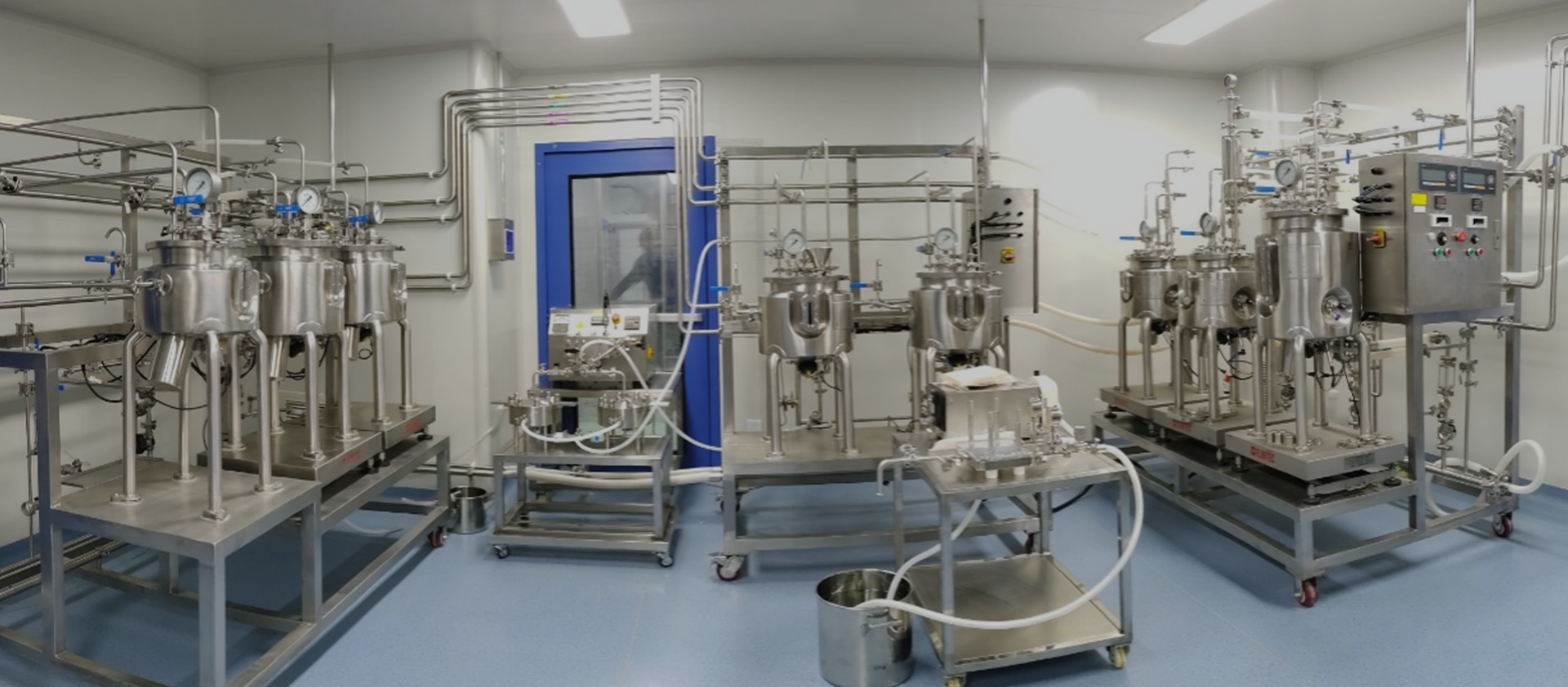 Пользовательские Липосомальных Предварительно Порошок Процедура