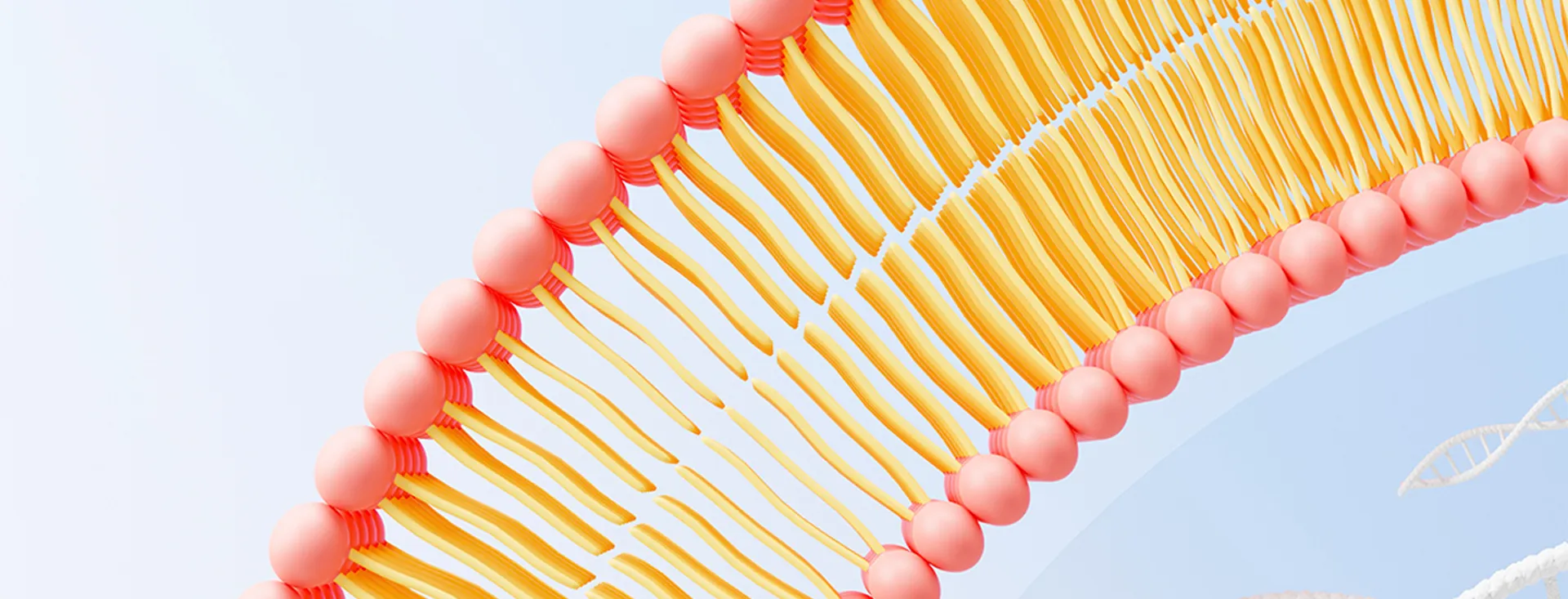 Липосомальные ингредиенты Производитель