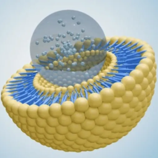 Микрокапсуляция против липосомальных технологий: Что лучше для пищевых добавок?